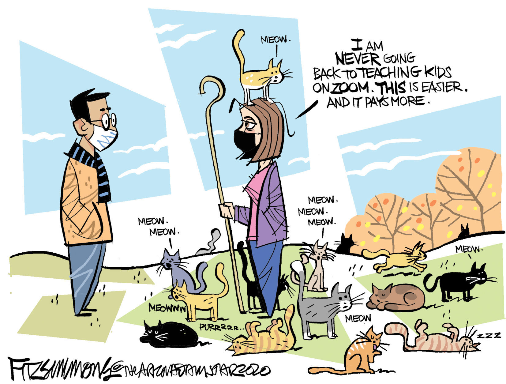 Daily Fitz Cartoon: Teaching on Zoom